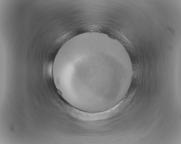 X0000114540047200911161407