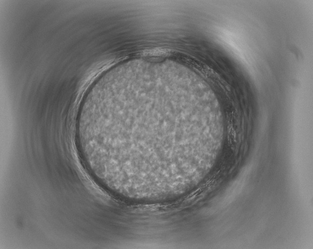 X0000114540049200911161406