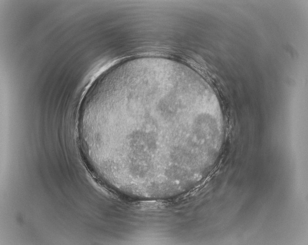 X0000114540050200911161406