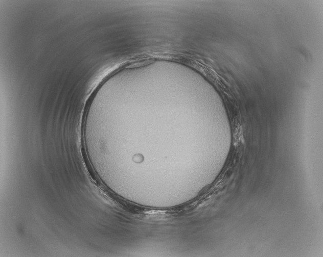 X0000114540052200911161406