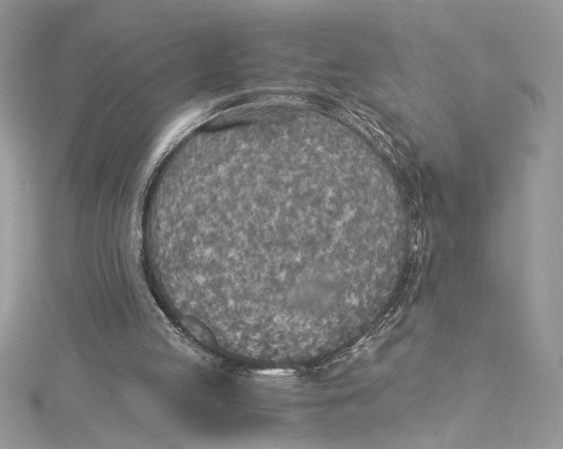 X0000114540053200911161406