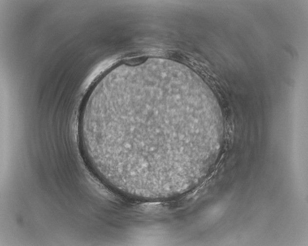 X0000114540054200911161406