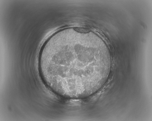 X0000114540055200911161406