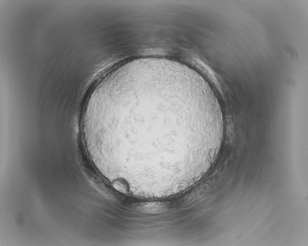 X0000114540059200911161406