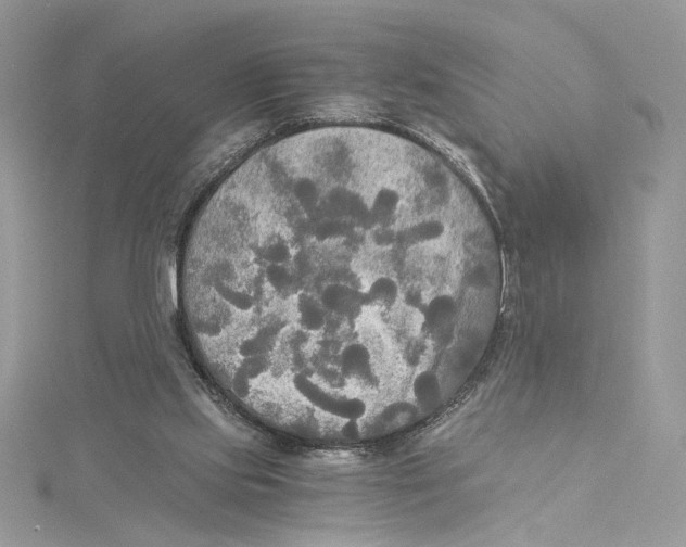 X0000114540061200911161406