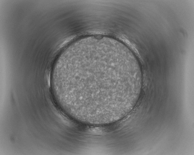 X0000114540062200911161406