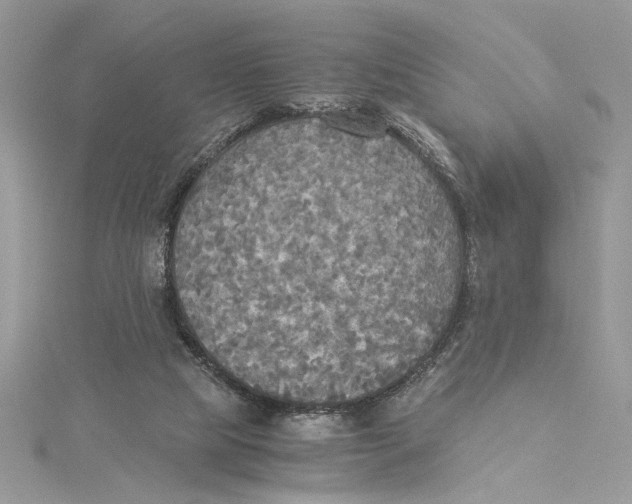 X0000114540065200911161406