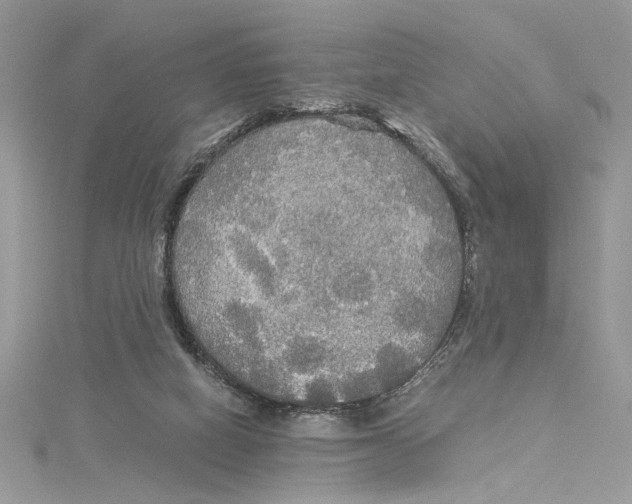 X0000114540066200911161406