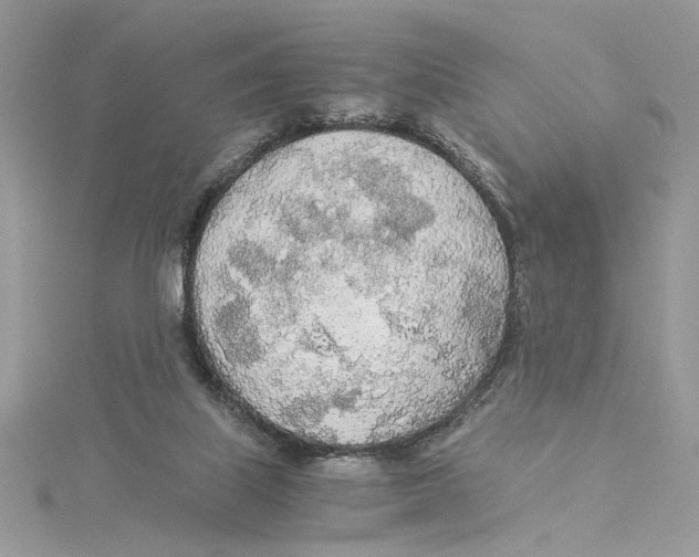 X0000114540067200911161406