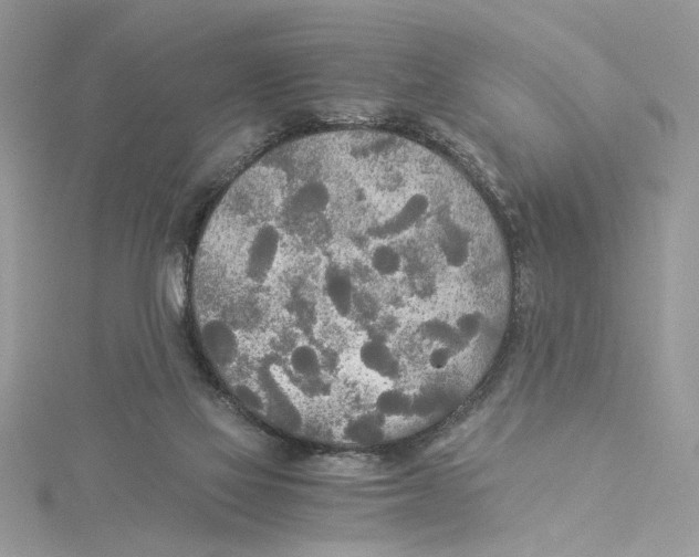 X0000114540069200911161406