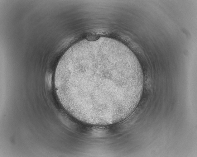 X0000114540070200911161406