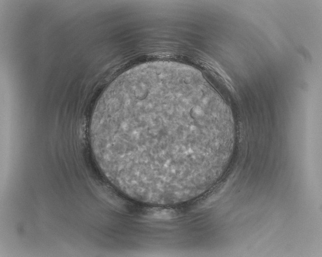 X0000114540073200911161406