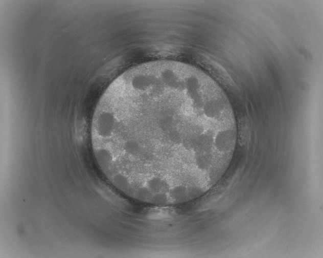 X0000114540077200911161407