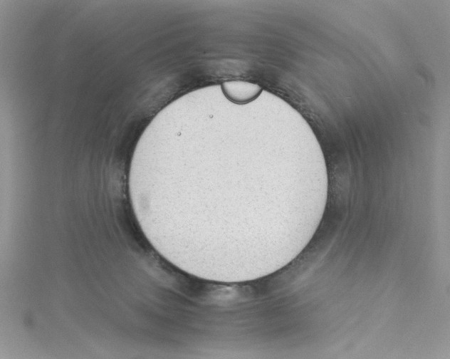 X0000114540083200911161407