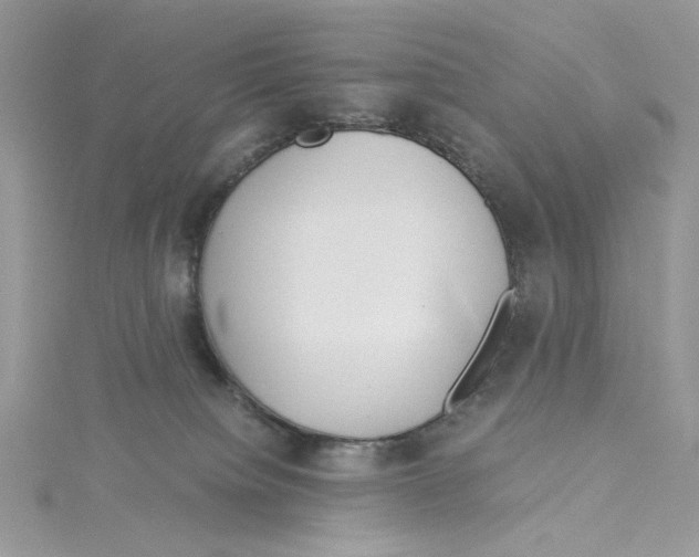 X0000114540084200911161407