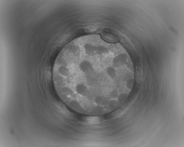 X0000114540085200911161407