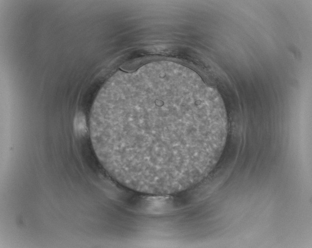 X0000114540089200911161407