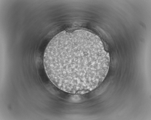 X0000114540091200911161407