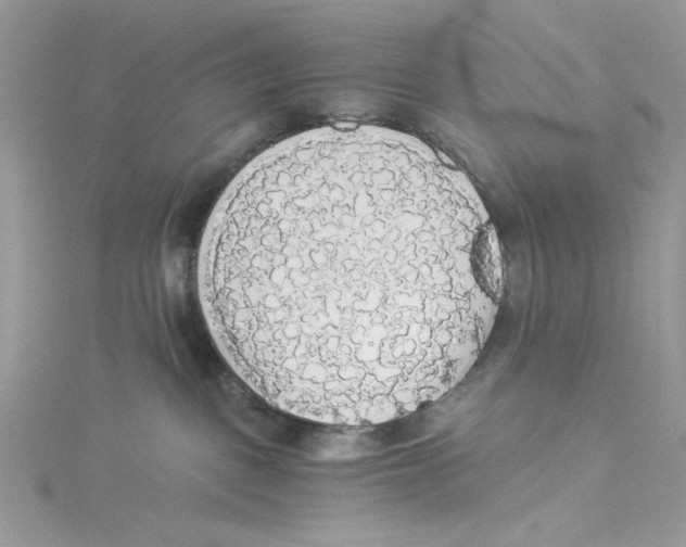 X0000114540093200911161407