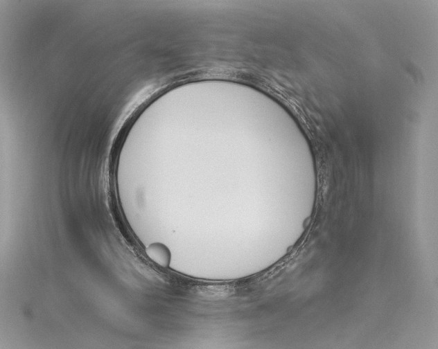 X0000114540102200911161406