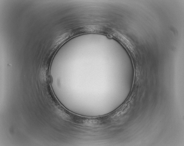 X0000114540105200911161406