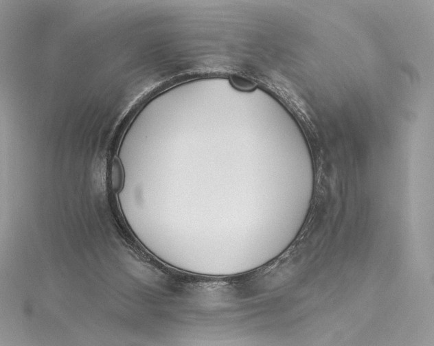 X0000114540108200911161406