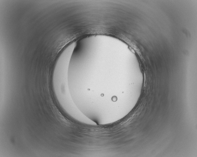 X0000114540109200911161406