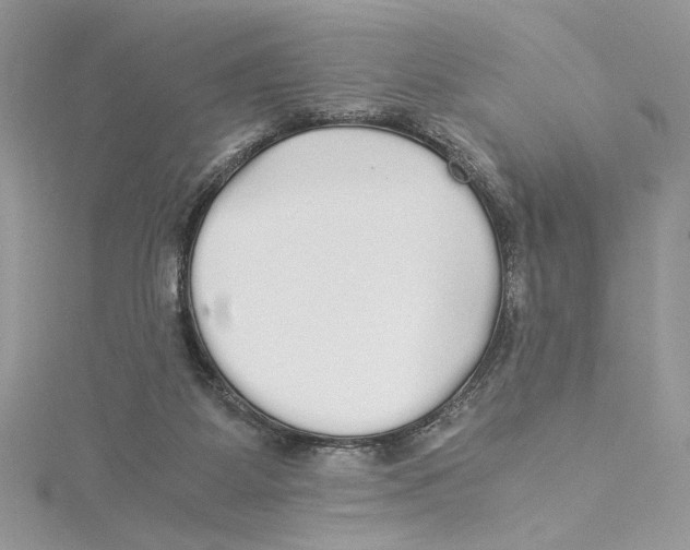 X0000114540115200911161406