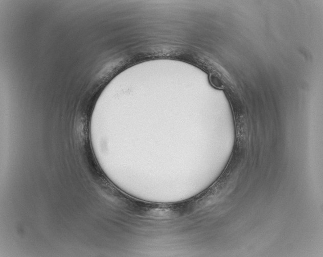 X0000114540119200911161406