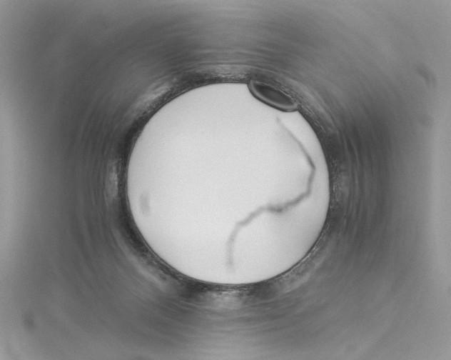 X0000114540120200911161406