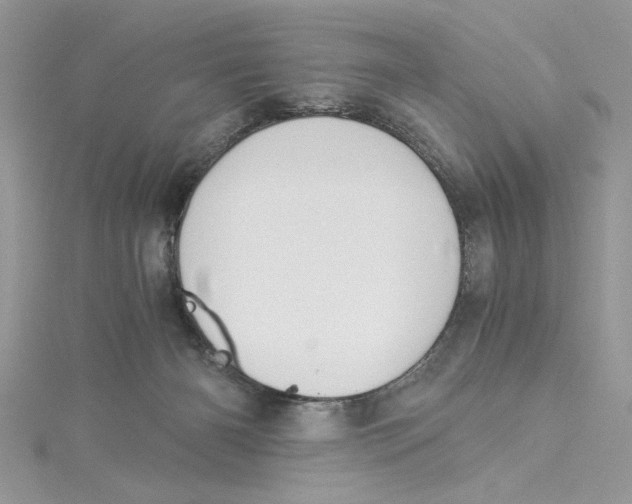 X0000114540126200911161406