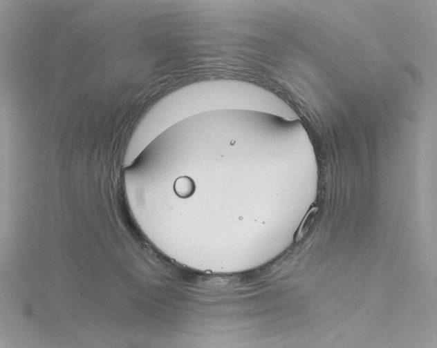 X0000114540129200911161406