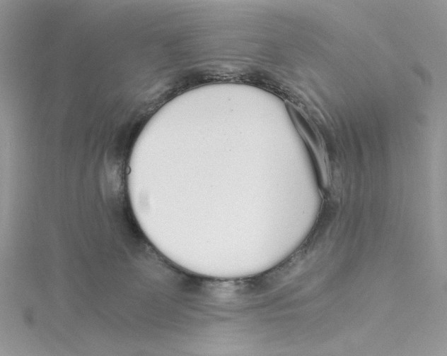 X0000114540131200911161406