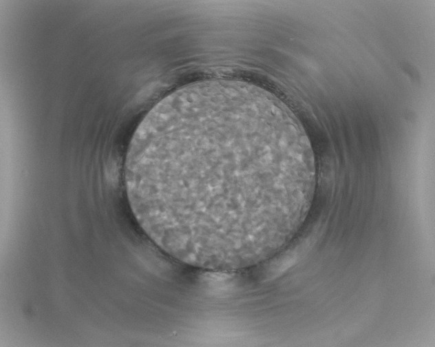 X0000114540139200911161406