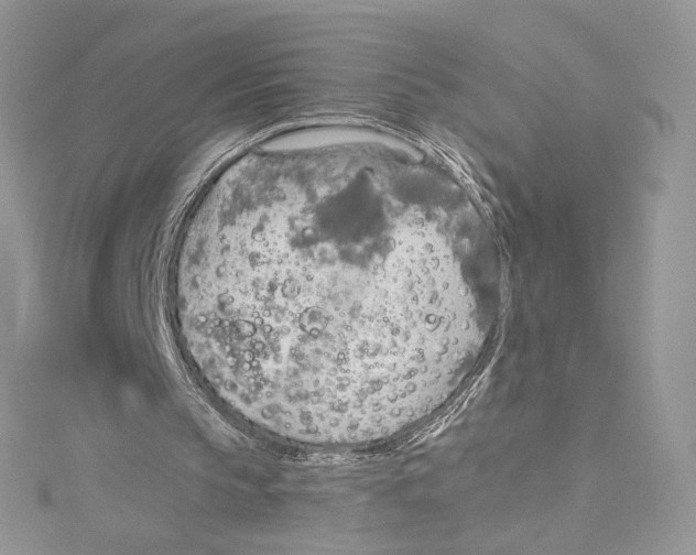 X0000114540145200911161405