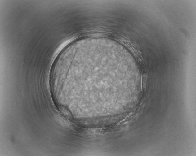 X0000114540147200911161405