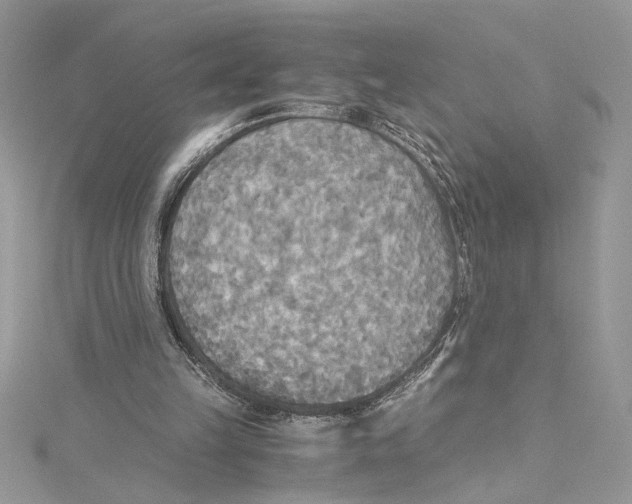 X0000114540149200911161405