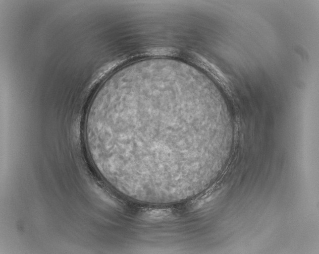 X0000114540155200911161405