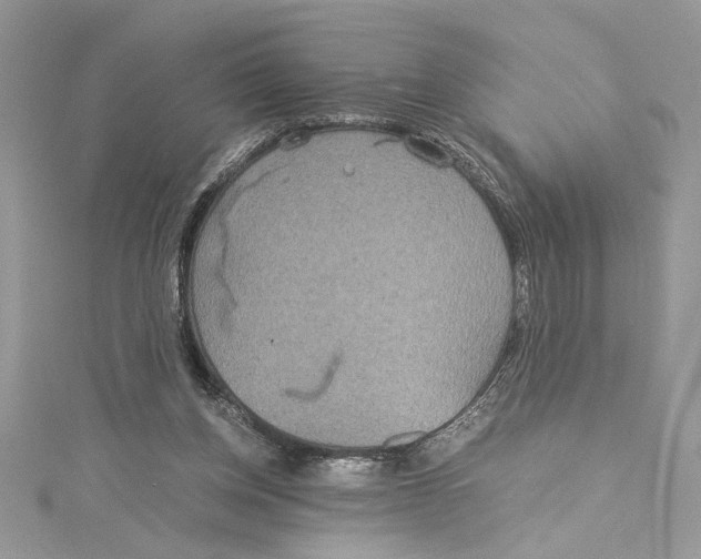 X0000114540158200911161405