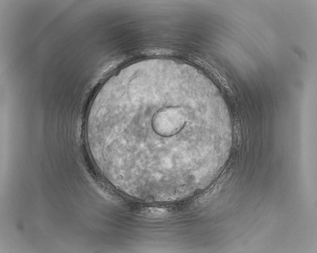 X0000114540159200911161405