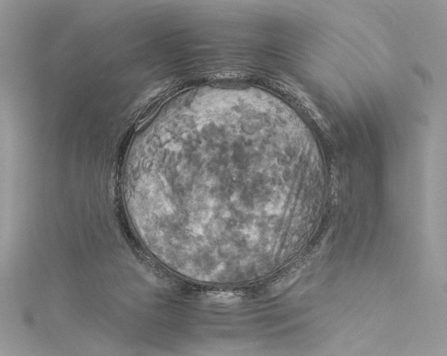 X0000114540161200911161405