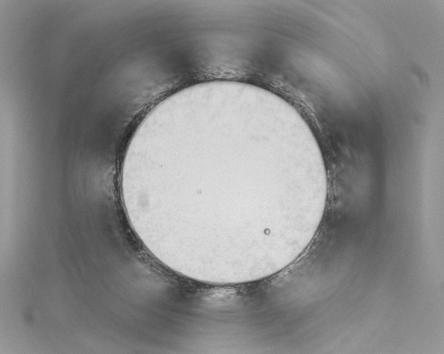 X0000114540162200911161405