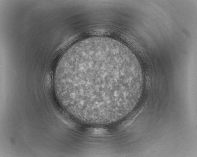 X0000114540165200911161405