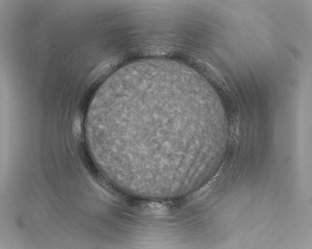 X0000114540166200911161405