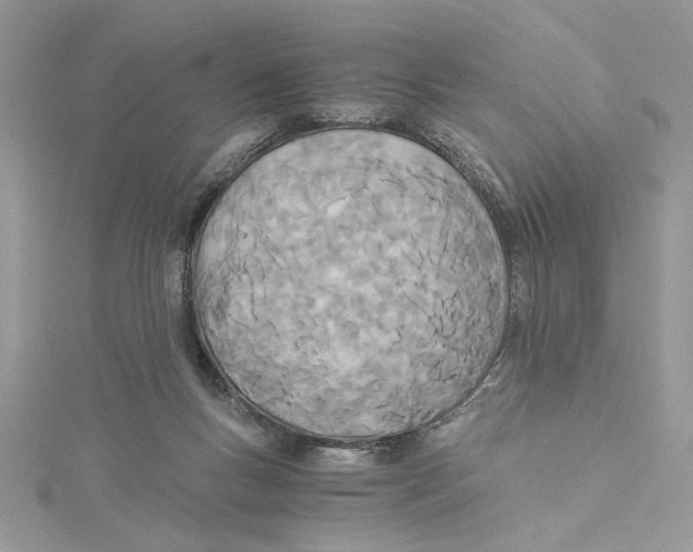 X0000114540167200911161405