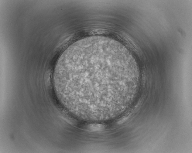 X0000114540169200911161405