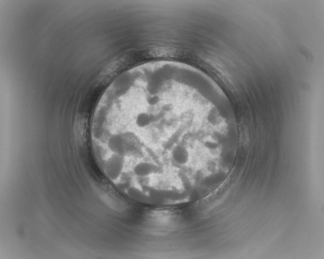 X0000114540171200911161405