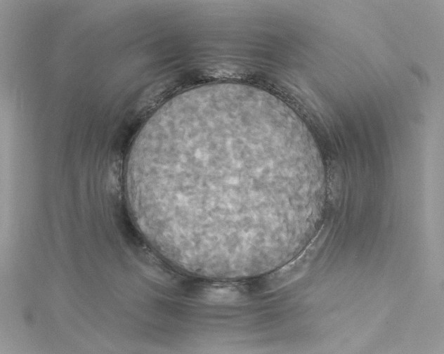 X0000114540175200911161405