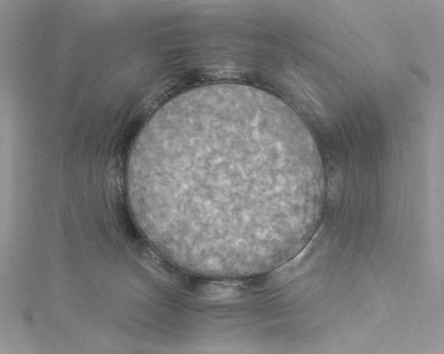 X0000114540179200911161405