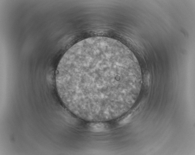 X0000114540181200911161405